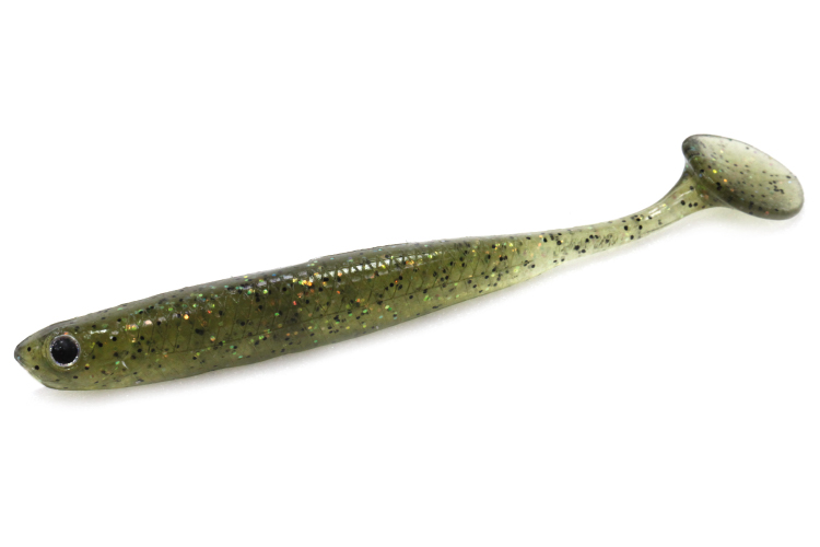ANCHOVY SHAD 4