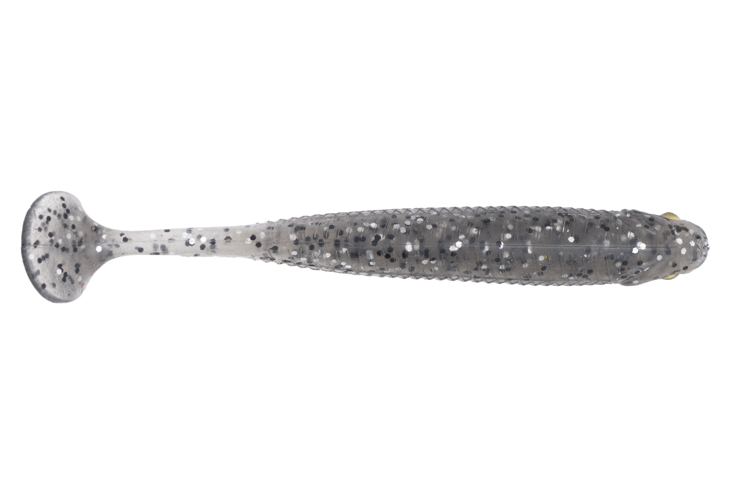 ANCHOVY SHAD 4"