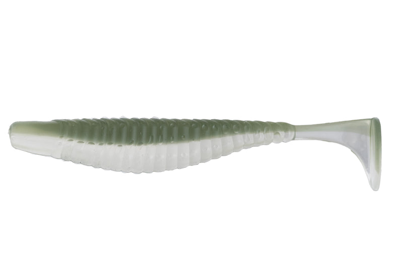 448-FLASH SHAD