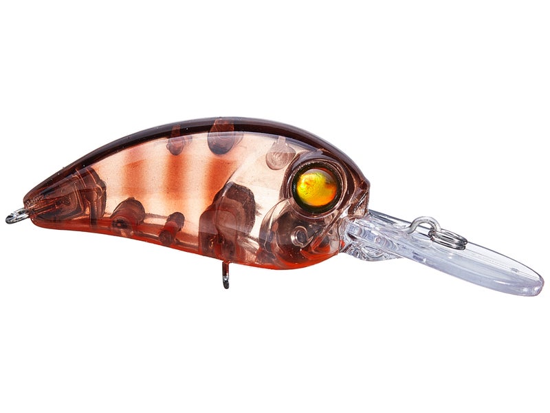 371T-GHOST CRAW