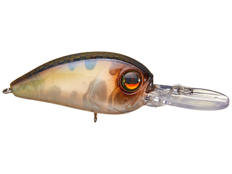 024A-MOSSY SHAD