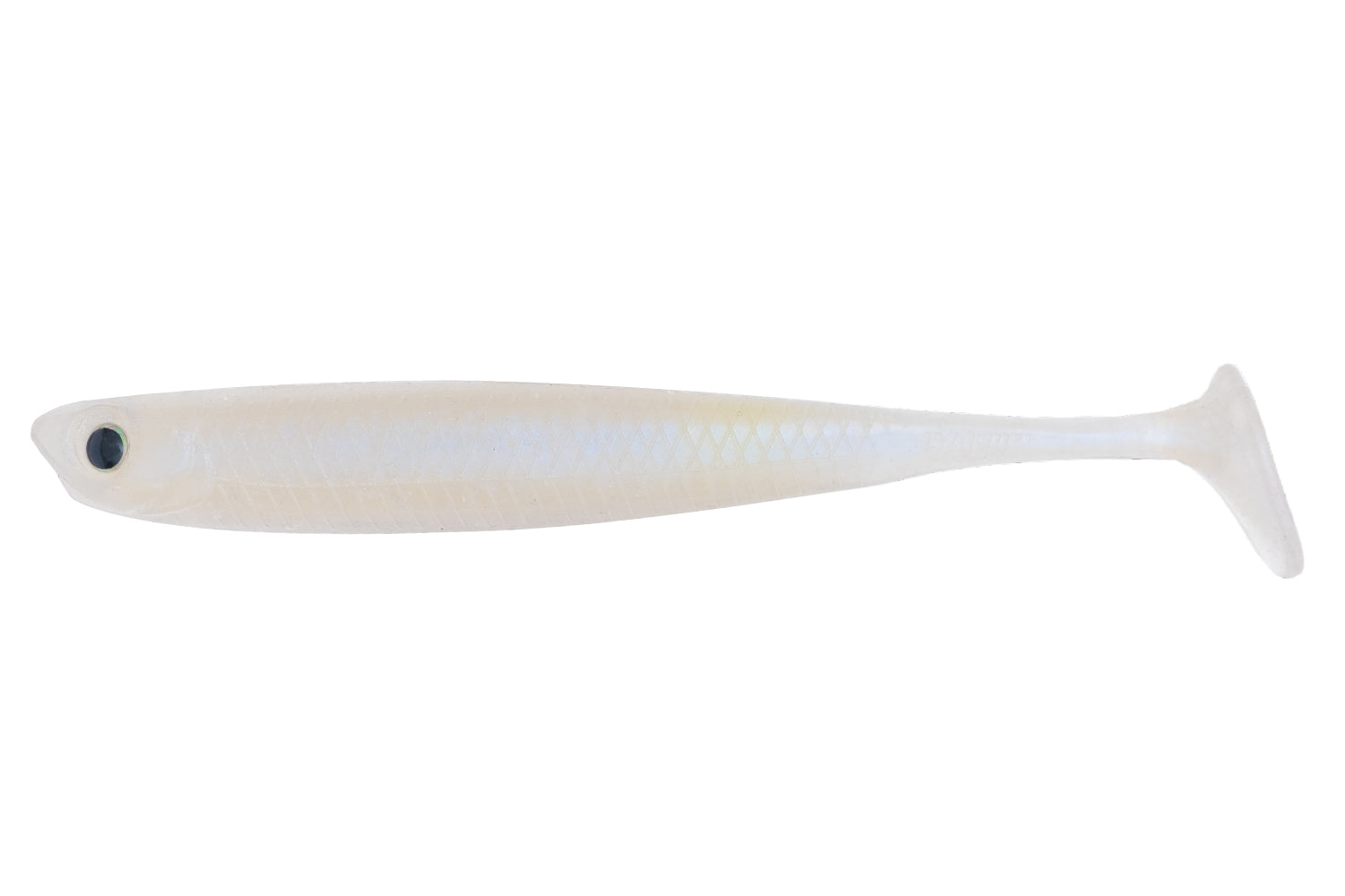 ANCHOVY SHAD 4"