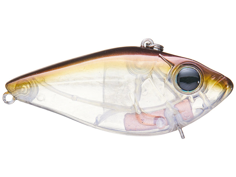 019A-AMERICAN SHAD