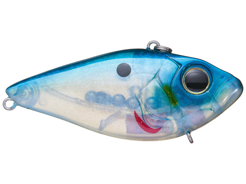TREMOR 65 NOISY – Damiki Fishing Tackle
