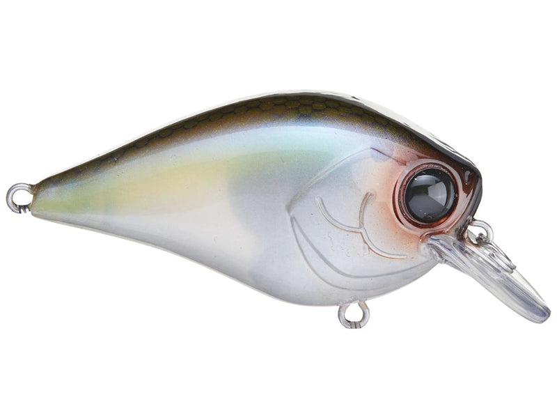 024A-MOSSY SHAD