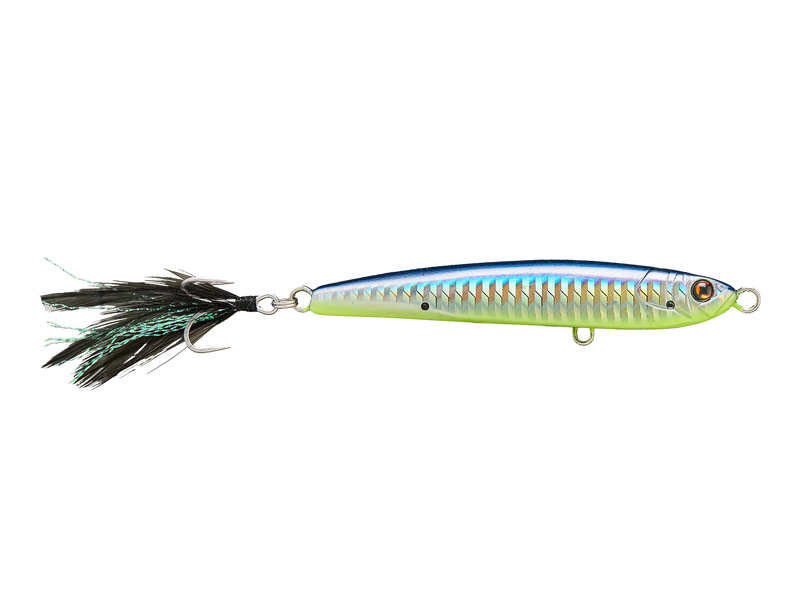 647 CHART BLUE SHAD